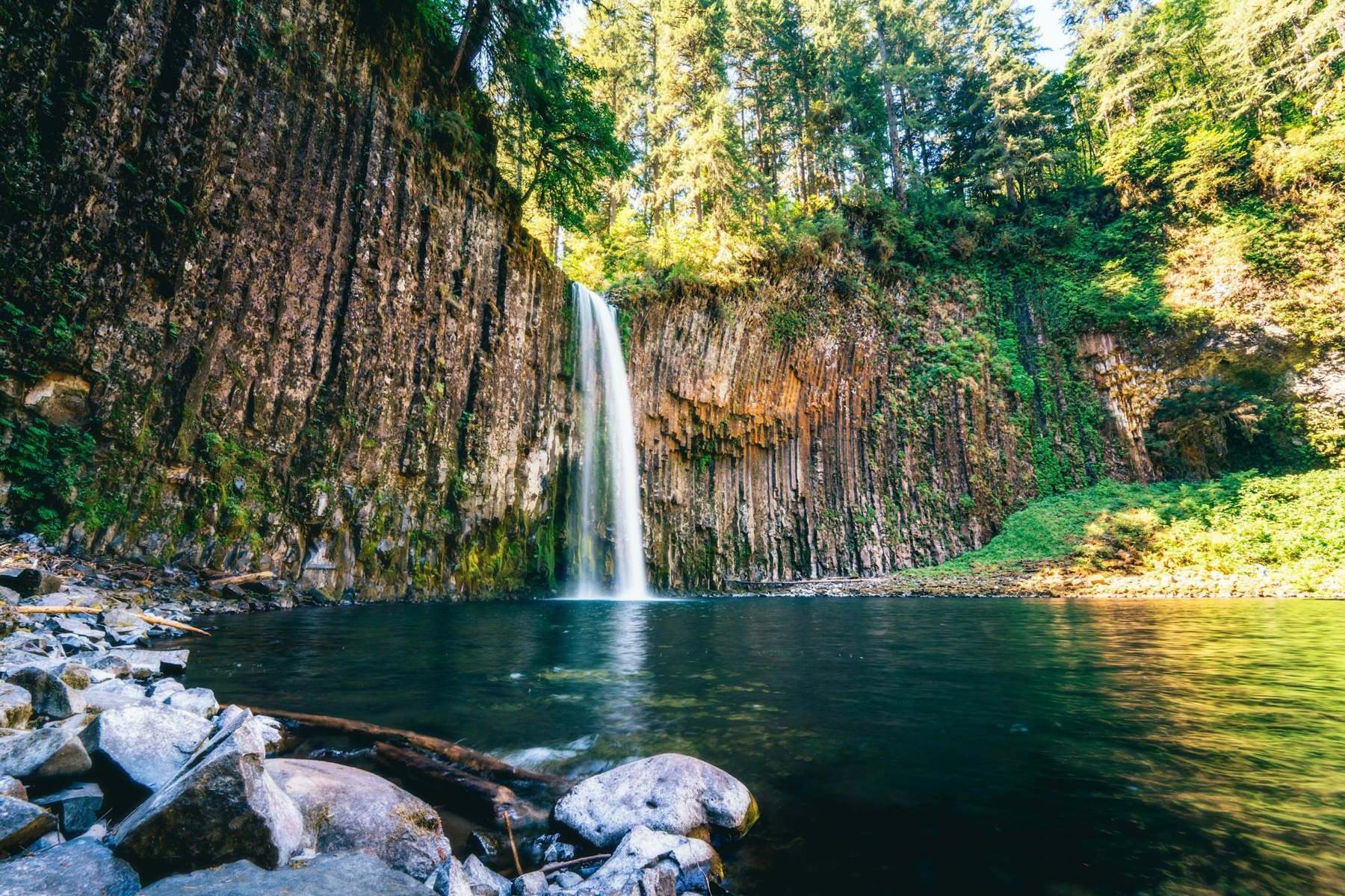 Waterfall in a lush green forest